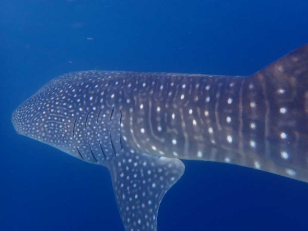 03ddf151-2c41-4382-bb3e-33746a820e98