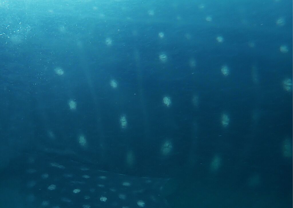 2b118670-05b2-41f2-9e5a-b09f3508ce72