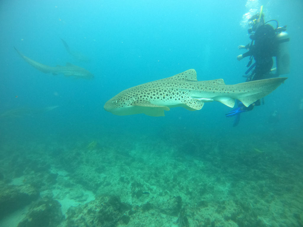 6da96ec4-1b5a-427a-a643-9028f7737e40