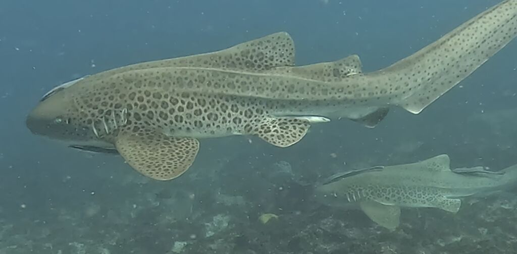 f0c4e632-4235-463a-8b6a-cdf61c20de40