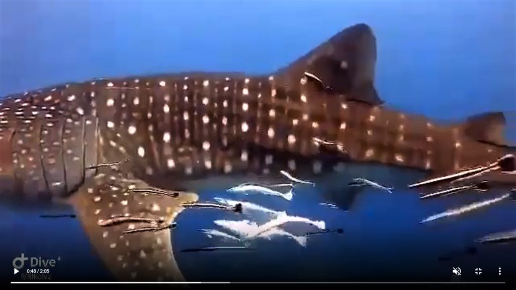 8e0205a6-81a5-4fca-bab8-27c7c0ba1657