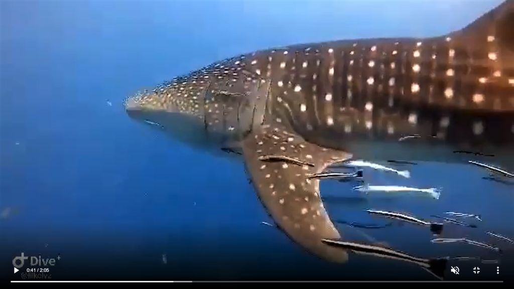 8e0205a6-81a5-4fca-bab8-27c7c0ba1657