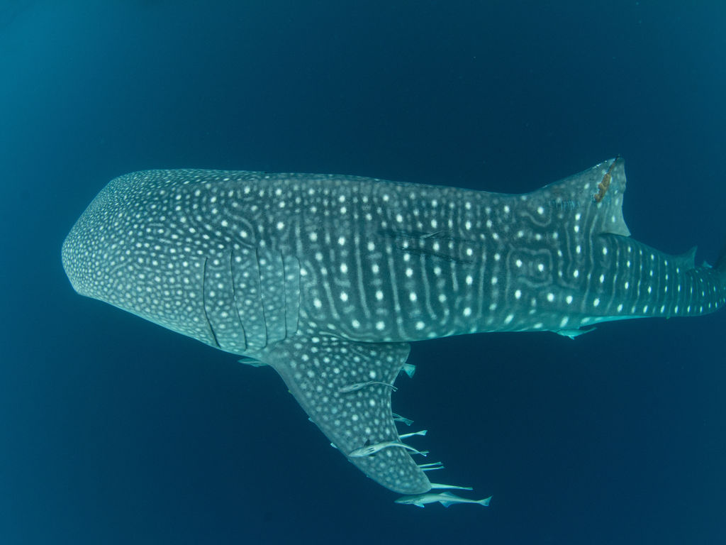 8b38c424-f944-4ba7-b216-aa7900a24c07