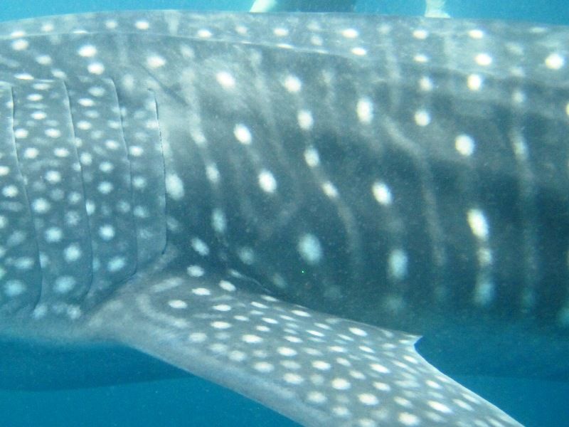 d3caef8c-c97c-4c99-a9b5-3fa3f485e907