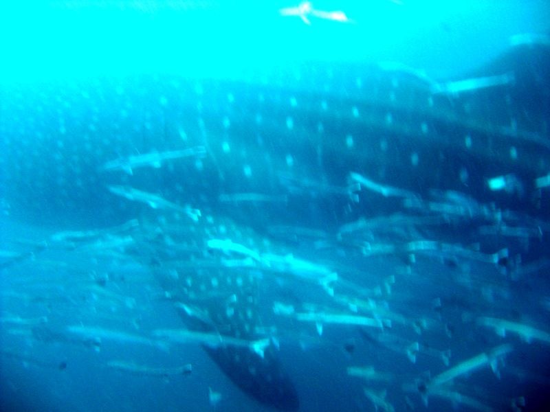 6f158087-7579-4daa-988b-8116db1015de