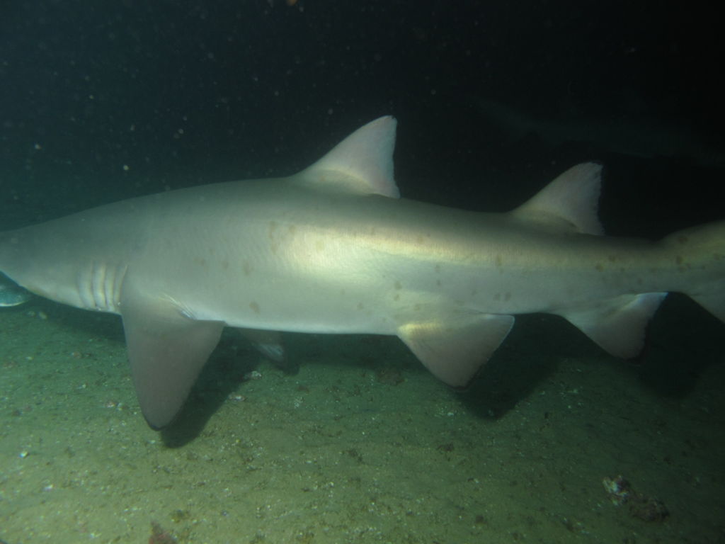 ffe7e9d0-5651-432f-b01b-20660c88cec8