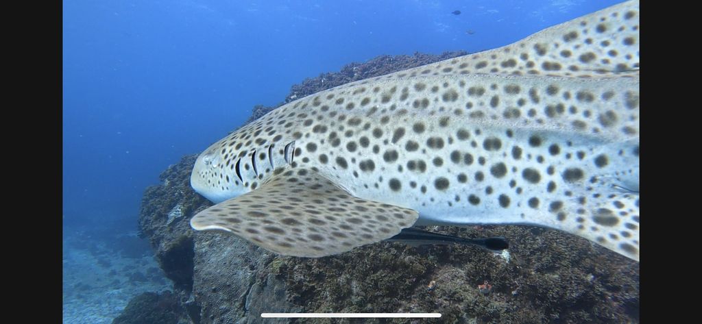 8ba107a1-8596-4d63-8f70-28f6afc50312