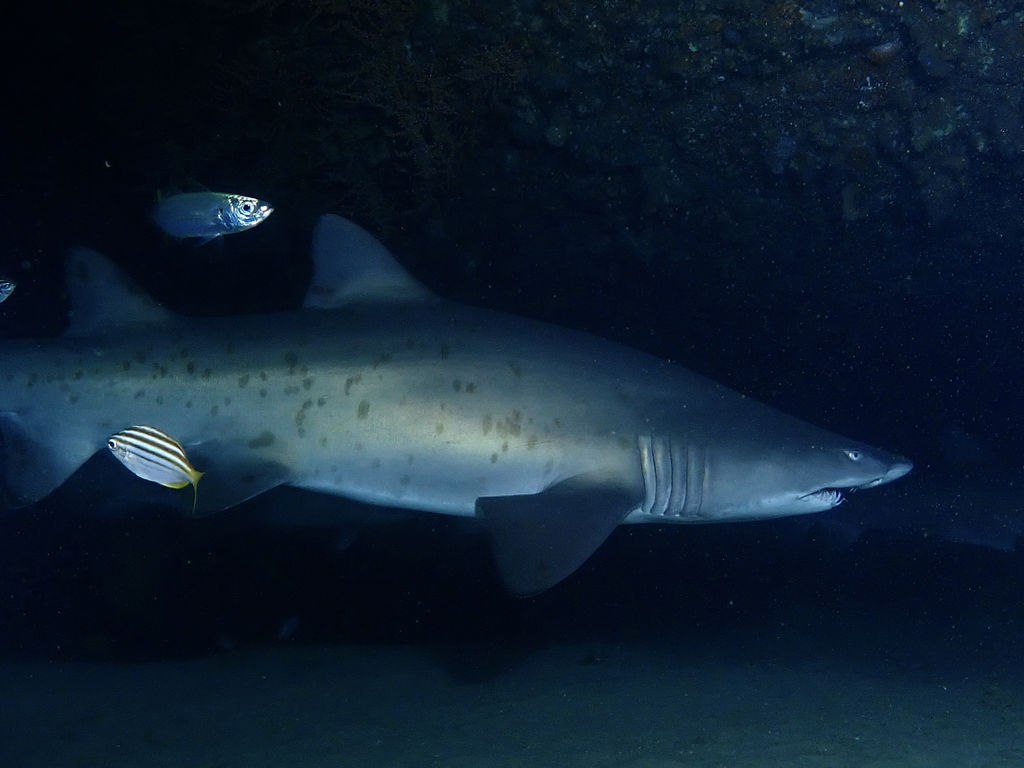 d7b2e744-9d3d-4827-bd7f-5e7e2215453f