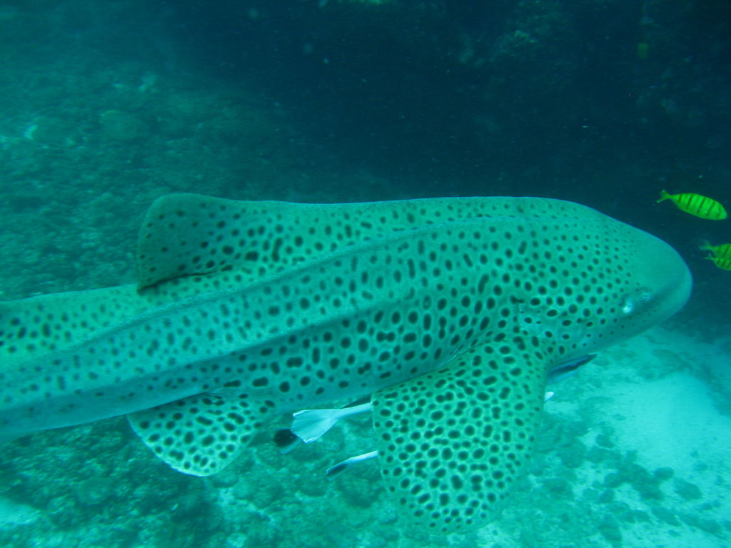 e4a8ee74-5629-4013-855c-a8e2c0700e00