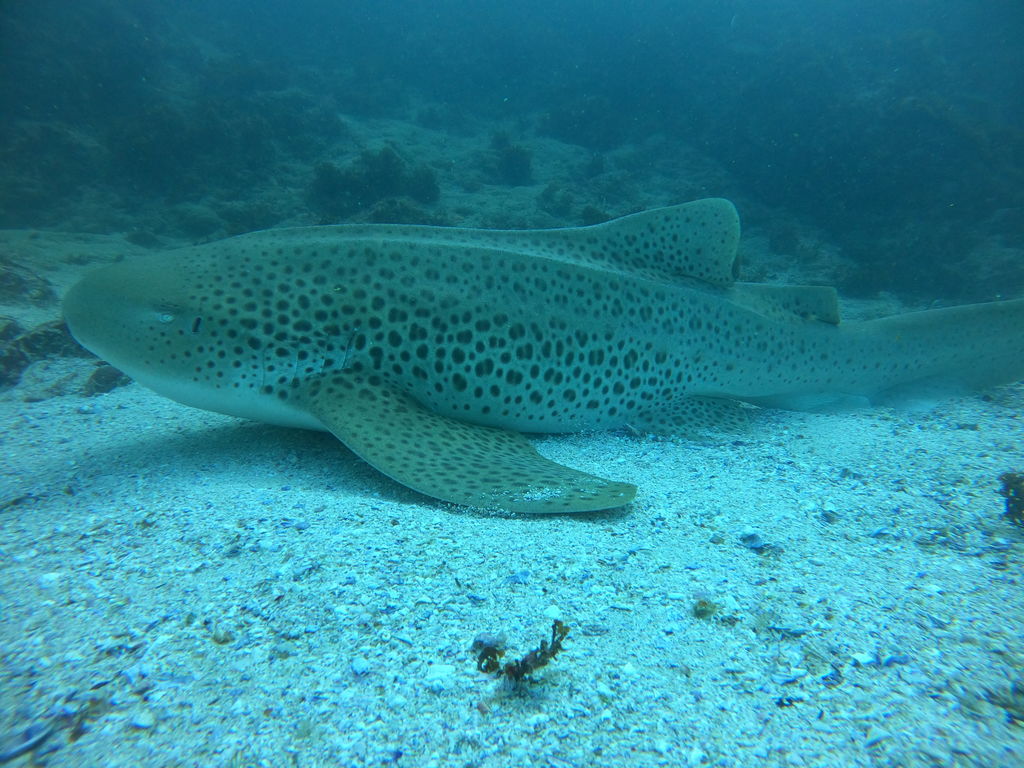 90f32672-7c4e-40b7-8abc-270b8c38fabd