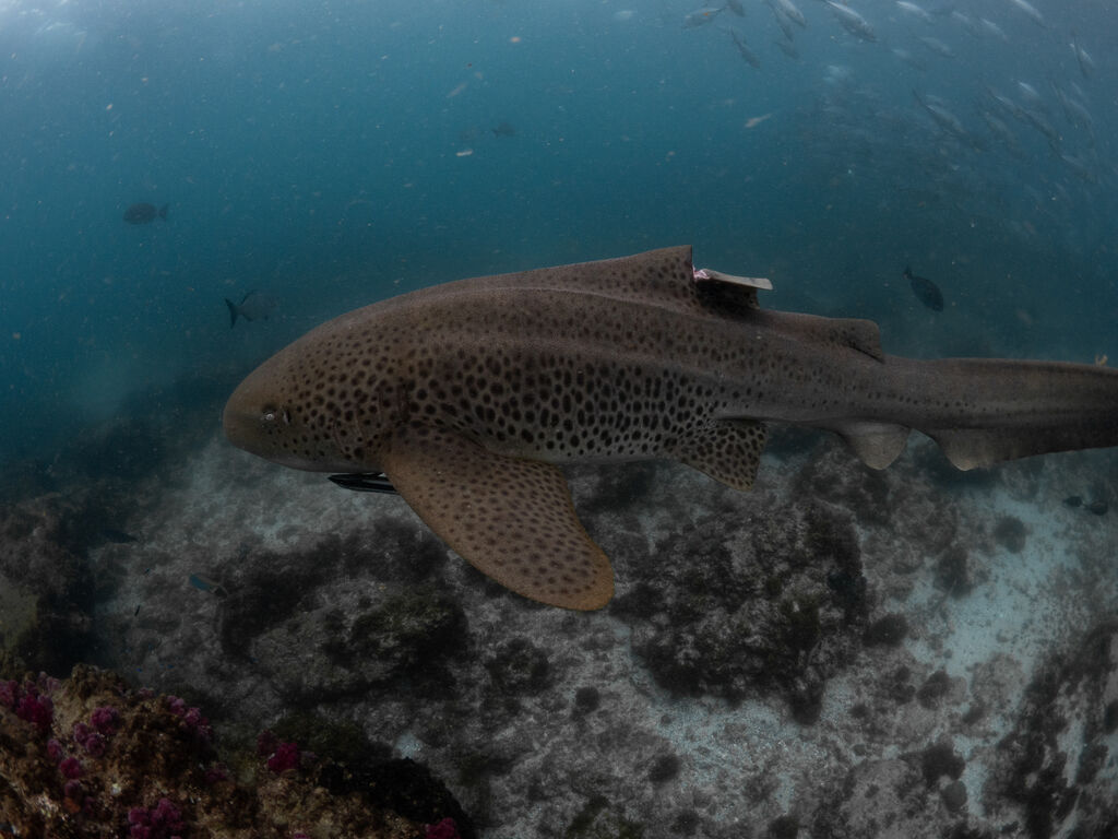 b829565e-133a-4185-9b65-fa718e818870