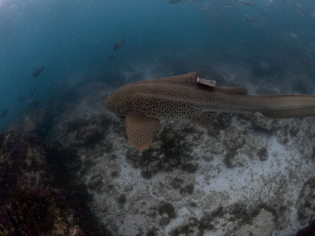 b829565e-133a-4185-9b65-fa718e818870