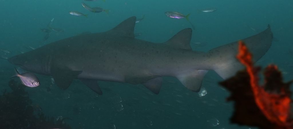 cb55e3fe-b799-441b-945d-15901e9e0efc