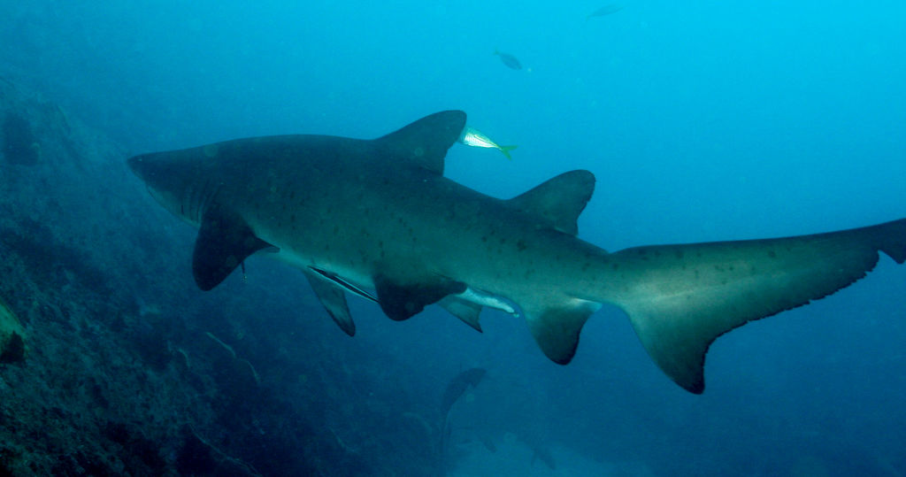 639ac39f-8dbe-495b-afaf-dab4a988696a