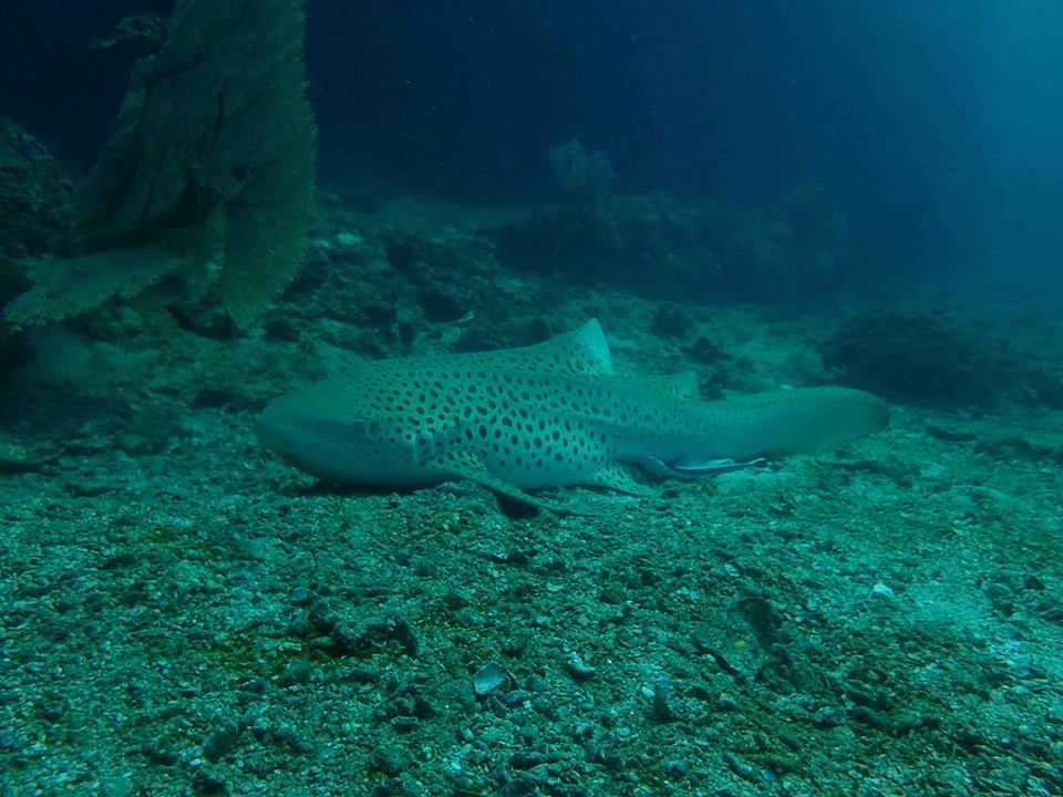 fac205ae-8772-4e22-93e7-cb9bae2f69f8