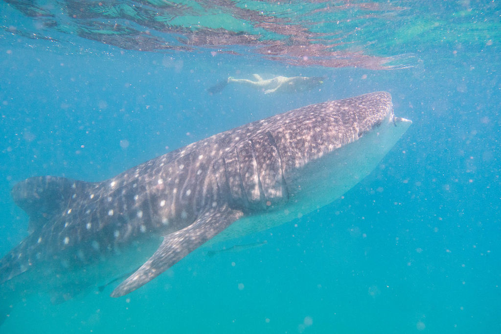 016c0088-3a9b-434a-aef1-395735ab73c2