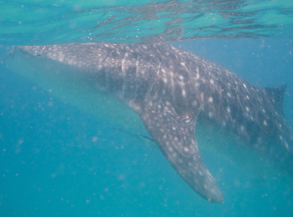 016c0088-3a9b-434a-aef1-395735ab73c2