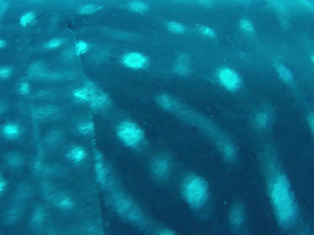 ec0285a4-0893-4478-bc71-e2f8212ea640