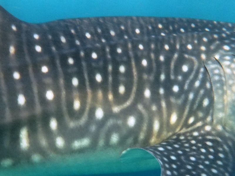 73076de6-9459-42f5-8531-9fff84069d28