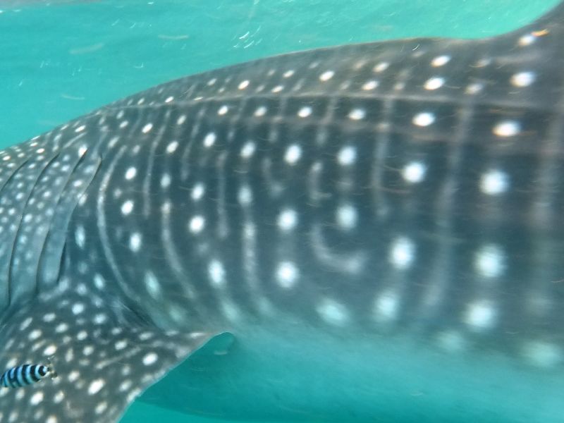 73076de6-9459-42f5-8531-9fff84069d28