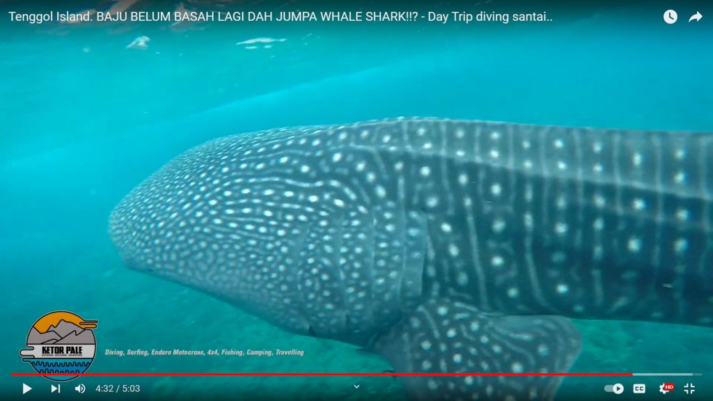 6b36fe5b-925a-4f2f-99ba-d73bf22fcffc