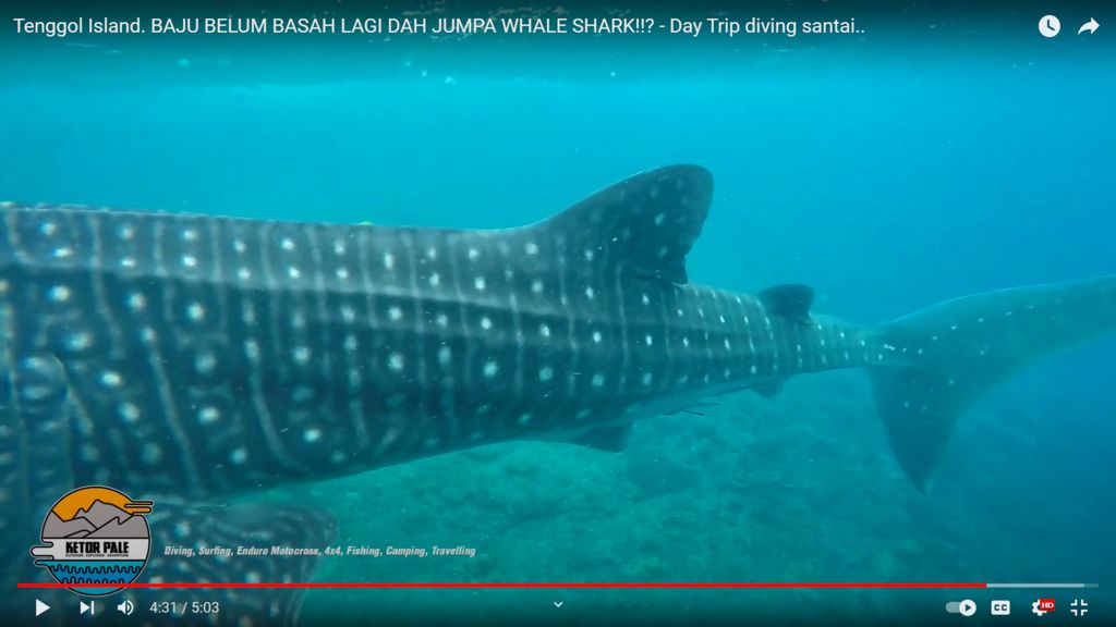 6b36fe5b-925a-4f2f-99ba-d73bf22fcffc