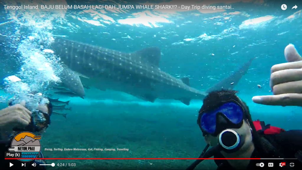 6b36fe5b-925a-4f2f-99ba-d73bf22fcffc