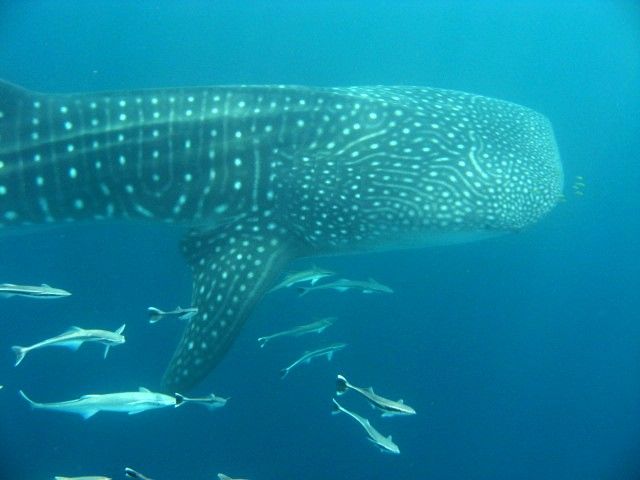 5559529e-a64b-4808-b78c-f2b7fd6612c9