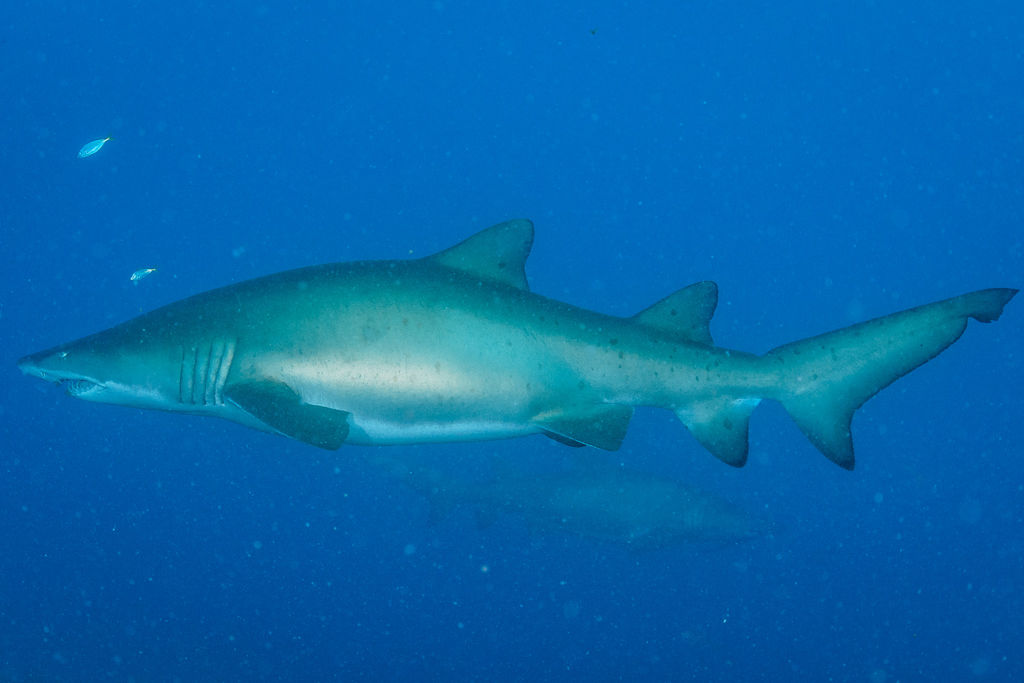 a2502274-c40b-46c3-a20f-5f0831e2192b