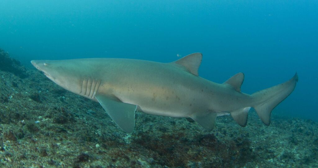 6a3effed-f081-4c57-a254-3ff68fa62a6c