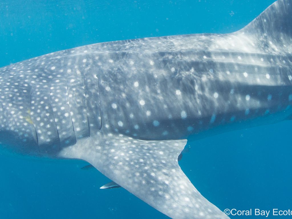 9b804dbe-106f-4a50-8e5c-0a3282d250eb