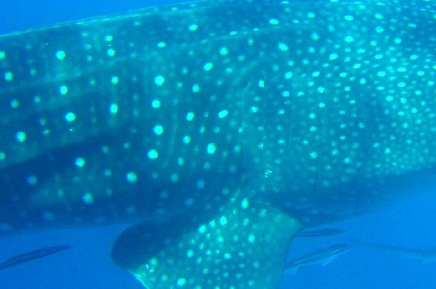 df21a95e-2584-40e9-9319-0a386676e4f9