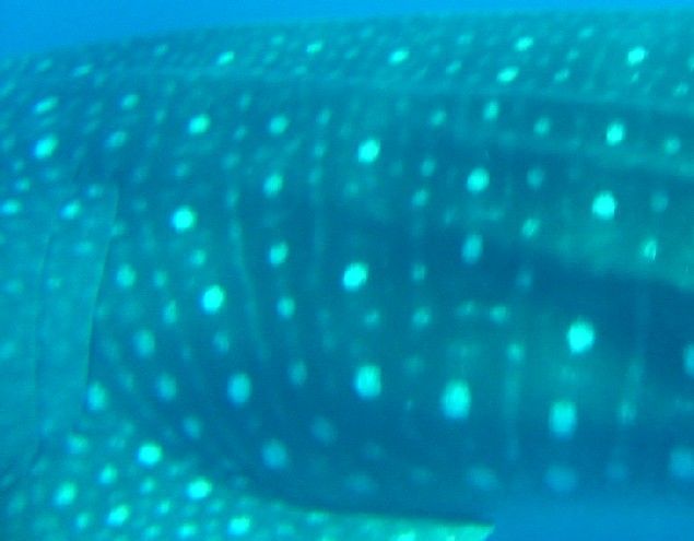 df21a95e-2584-40e9-9319-0a386676e4f9