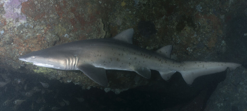 ecb69896-9627-4745-bfd2-1d2ff1f86220