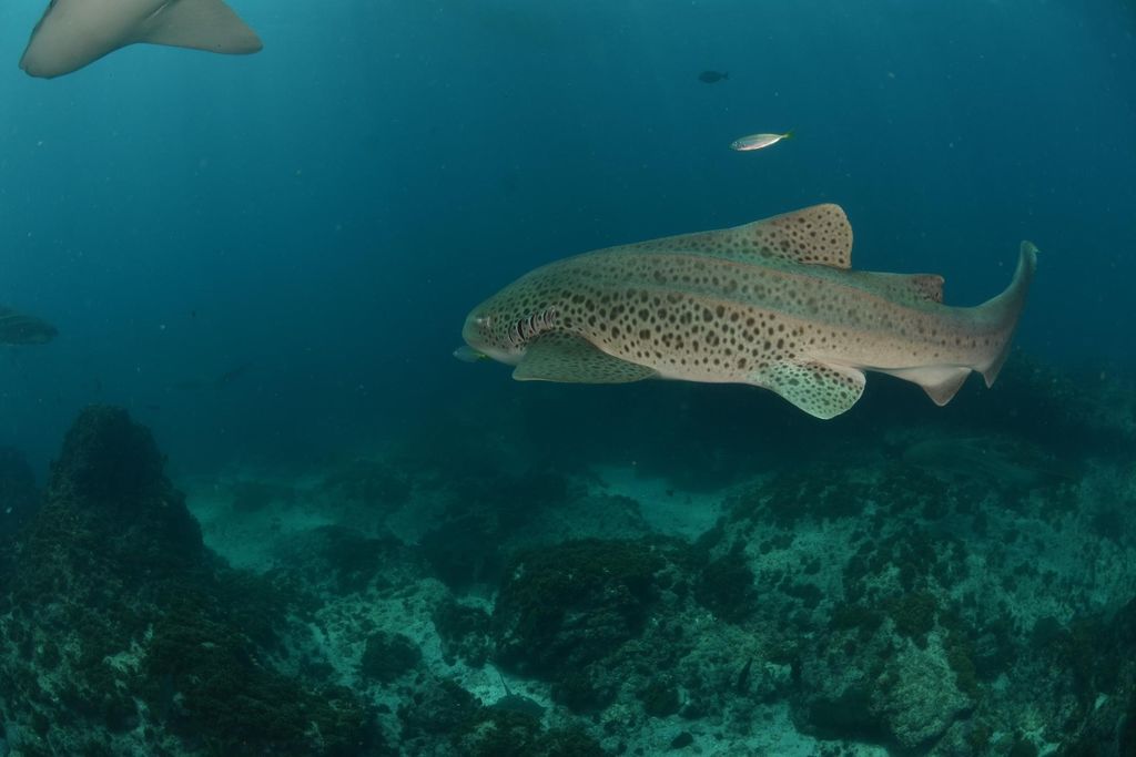 6659eb34-cd45-479b-89a8-8d8421eac661