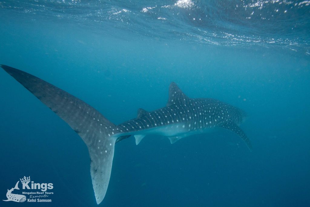 d4a5b074-3538-4aec-be86-d22190a96286