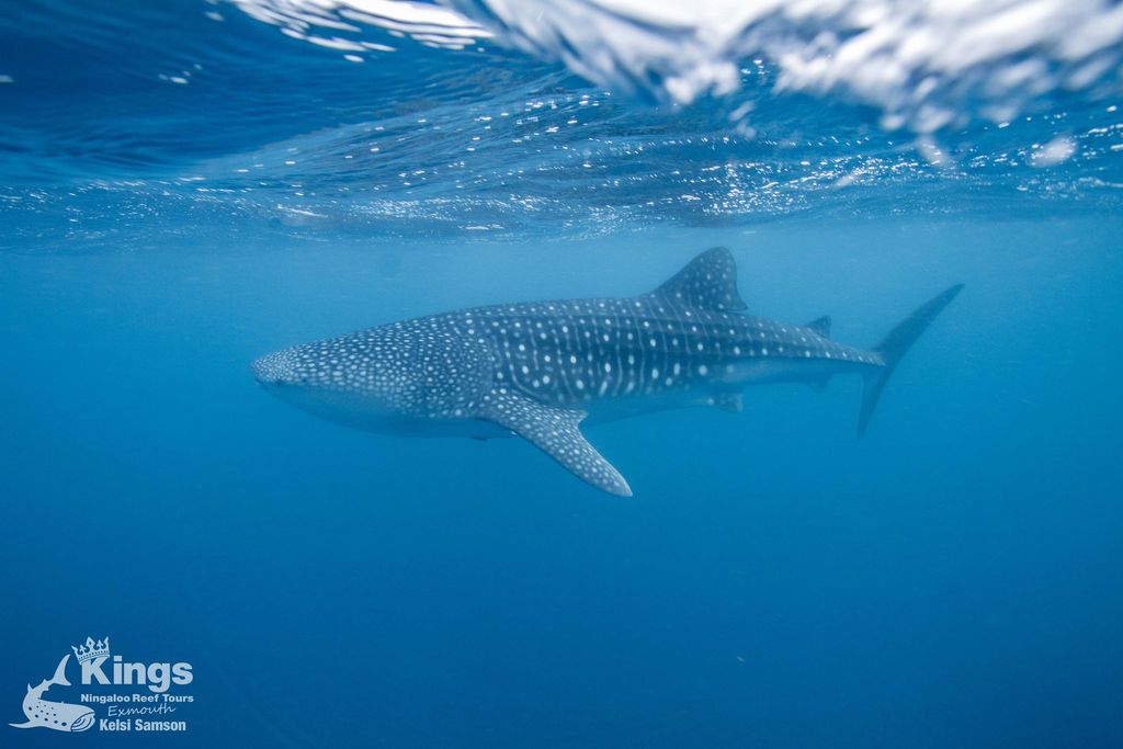 d4a5b074-3538-4aec-be86-d22190a96286