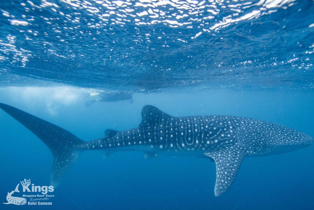 d4a5b074-3538-4aec-be86-d22190a96286