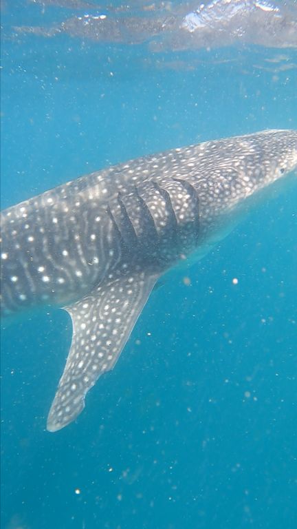 3f7f74ac-e78e-4183-98f5-89755d70986c