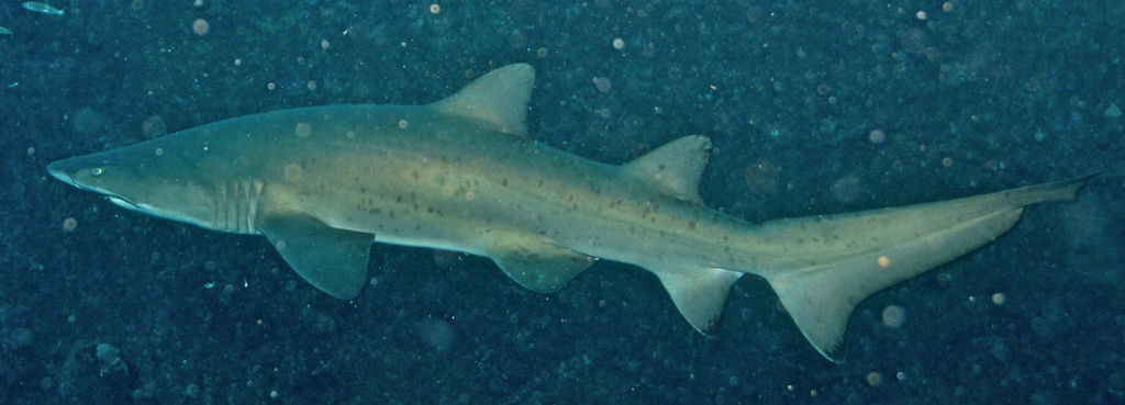 8db58cb3-0945-4dc1-a2a3-1cb3e06bf54d