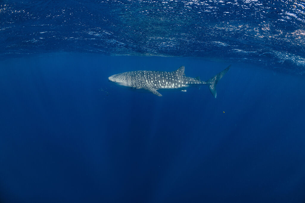 ecefd792-1c7a-4d92-9cae-6b6eb7147085