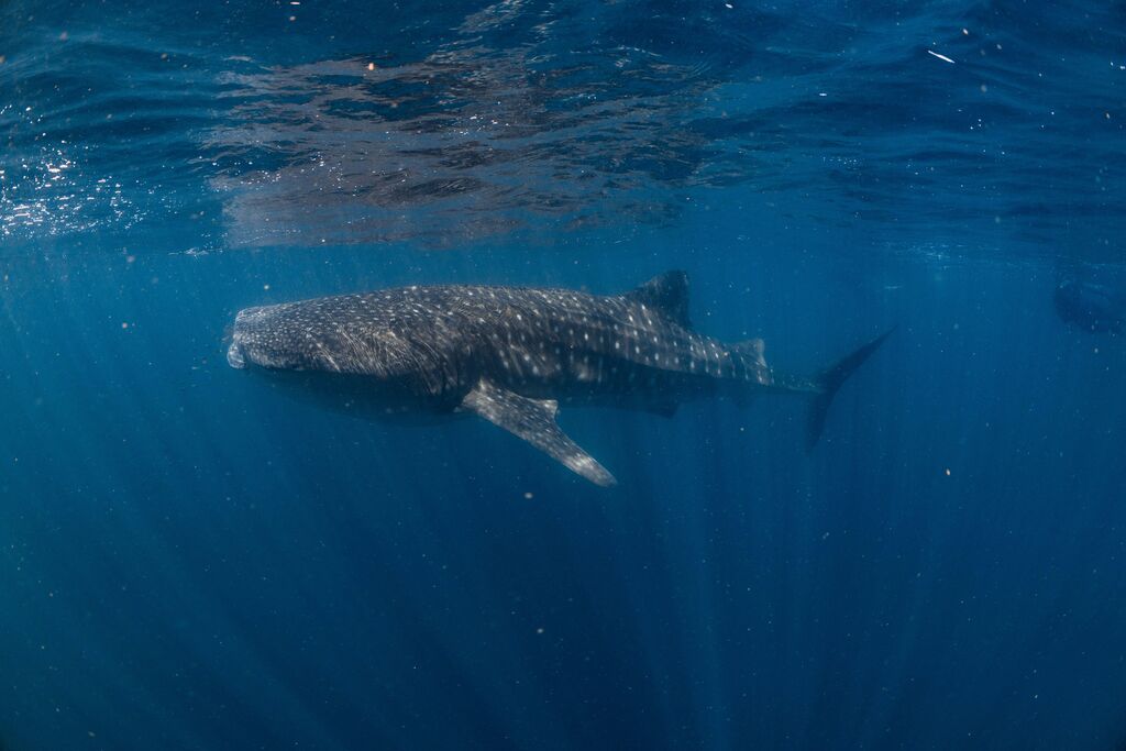 0abbf7dc-de81-45a1-a75d-454537278721