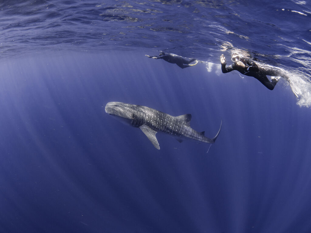 02f1f6a9-c8fa-4aa6-a064-23c18fc1cc40