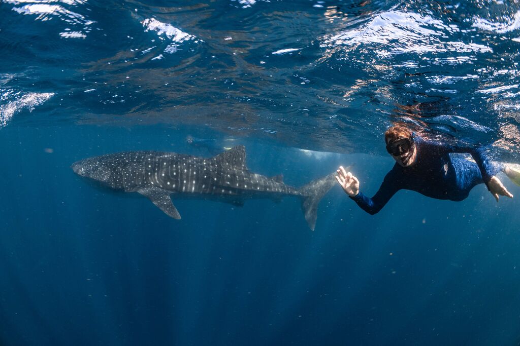 2d3dc21f-02e3-4ace-97c8-b5544e011d0c