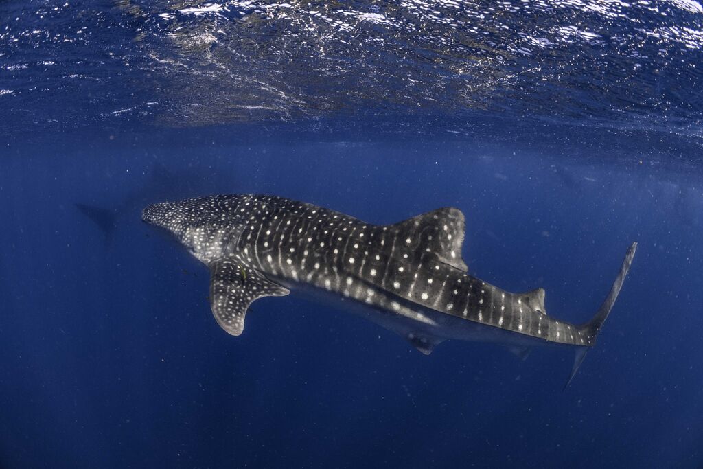 ccaf60c5-25db-42d3-b4d2-a2a362c046d3