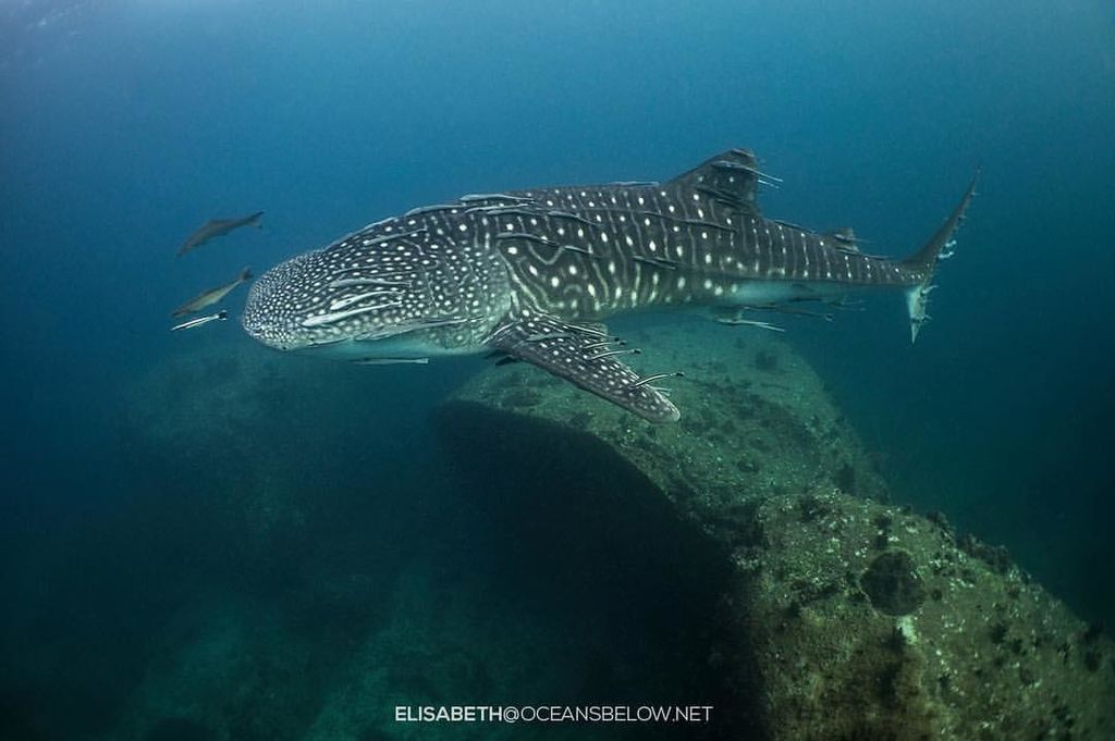 1db49c31-78a7-43da-8df9-d06dbcc9c8ab