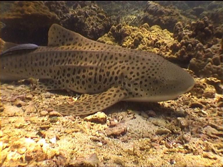 40d79796-f874-40cd-abcd-8ab4c9d44629