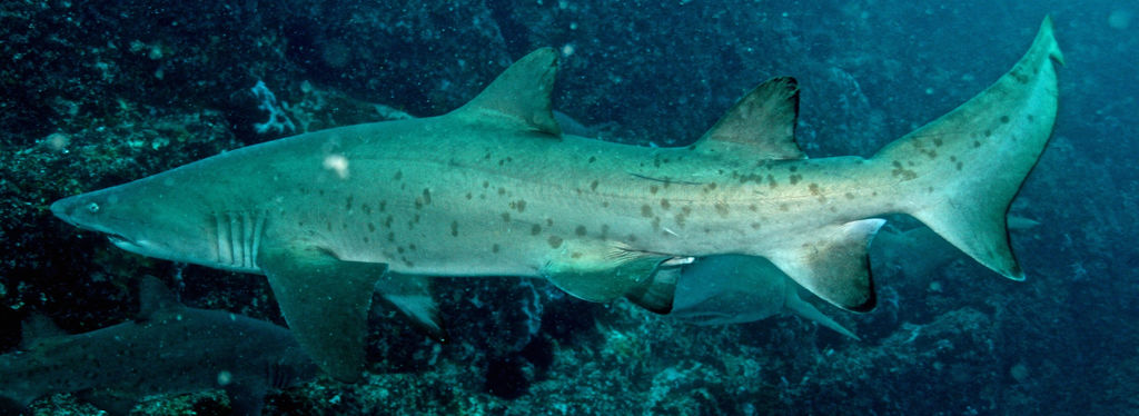 6d42a53e-dd0c-4bb0-80e8-0e9165f9ad7b