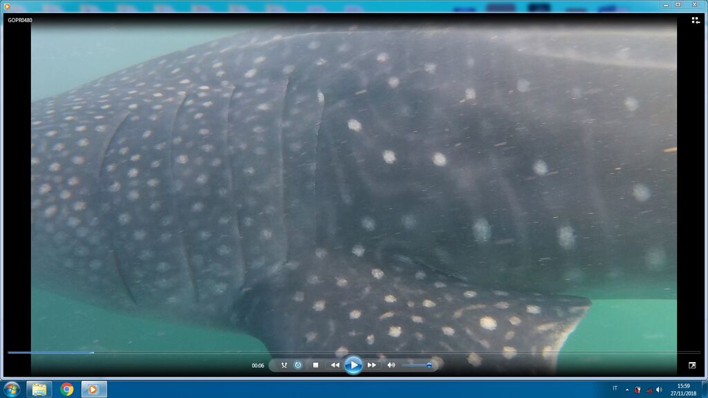 631ec6a0-fb8c-4195-bd07-90f47dc4f27a