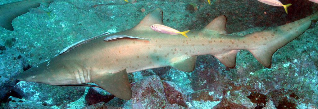 db78e344-f1fa-4e1f-a8c0-9ff21c7044a0